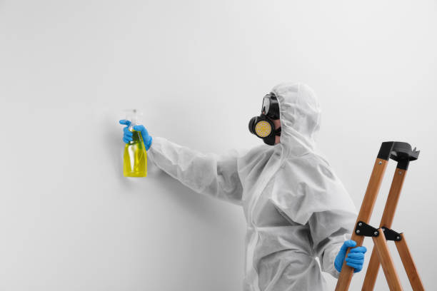 Biohazard Mold Removal in Port Jefferson, NY